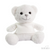 White Teddy Bear with T Shirt (25cm)