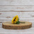 Single Sunflower Buttonhole - Discontinued