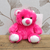 Cerise Baby Bundle Bear (Plush Soft Toy)