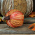 Pumpkin Pick Plaited (7x7x24cm)