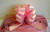 Baby Pink Pull Bow 50mm 
