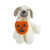 Felt Dog Holding Pumpkin Hanging Decoration (10cm)
