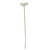 Essential White Gerbera