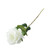 Essential White Garden Rose