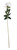Essential White Arundel Rose (70cm)