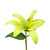 Yellow Casablanca Lily (38cm)