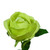 Lime Rose (63cm)