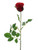 Red Precious Rose Bud (59cm)