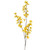Yellow Forsythia (84cm)