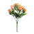 Essential Peach Rose Bunch (6 Heads)