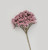 Pink Berry Cluster Spray (67cm)