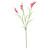 Dark Pink Freesia Spray (63cm)