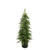 Green Pine Tree Potted (127cm)