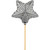 Silver Dazzle Star Pick