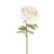 Snow White Rose Stem (68cm)