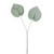 Frosted 2 Leaf Philodendron (48cm)