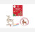 Reindeer Wooden Ornament Painting Set 