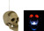 Animated Talking Skull with Light-Up Eyes