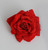 Rich Red Velvet Rose Head with Clip (19cm)