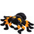 Suki - Jumbo Orange & Black Spindra Tarantula