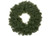 24 Inch Pvc Wreath With 180 Tips With Hang Tag