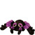 Suki - Medium Purple Viola Spider