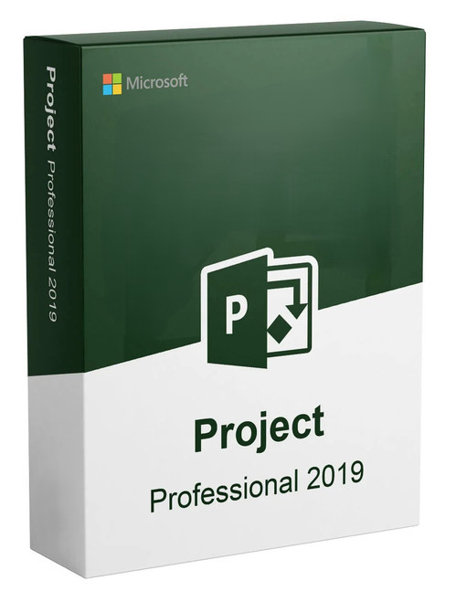 Microsoft Project 2019 Professional
