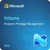 Microsoft Intune Endpoint Privilege Management (NCE)