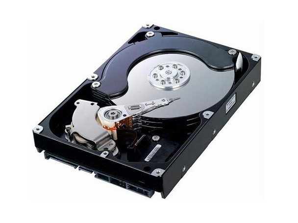 Dell F938P 600 GB 10000 RPM 3.5 inch LFF 16 MB Buffer SAS-6Gbps Internal Hard Drive for PowerEdge Servers (Brand New with 3 Years Warranty)