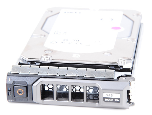 Dell 0F617N 300GB 15000RPM 3.5inch LFF SAS-6Gbps Hot-Swap Internal Hard Drive for PowerEdge Servers (New Bulk Pack with 1 Year Warranty)
