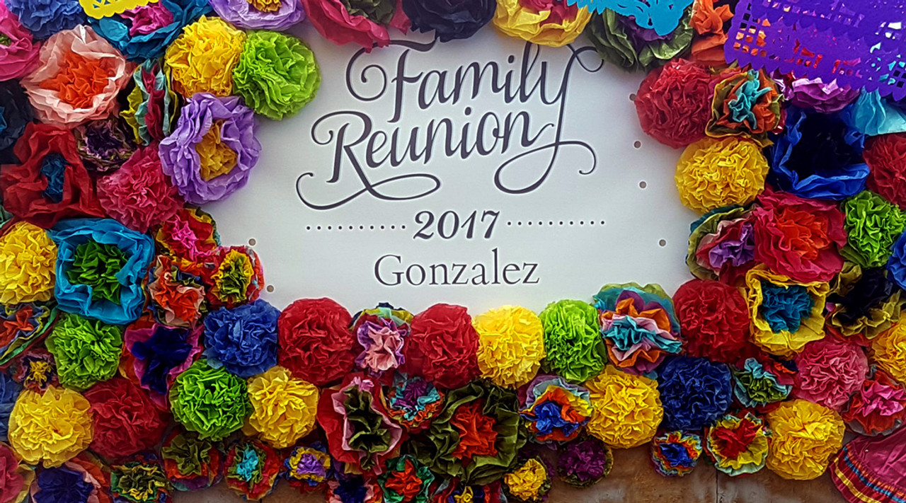 Mexican Tissue Paper Flowers Photo Wall Wedding Fiesta -   Mexican  tissue paper flowers, Paper flowers, Mexican paper flowers