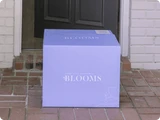 Something Borrowed Blooms delivered to your doorstep