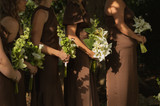 Bride and groom with the Wren Collection
