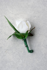 Jane Boutonniere (Rosebud)