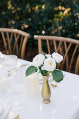 White Rose Bud Vase Bundle