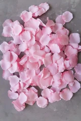 Pink Rose Petals (200)