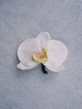 A white orchid boutonniere displayed on a light grey background