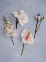 Blush anthurium, white and peach orchids, and white roses arranged on a light grey background