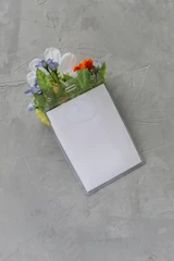 The backside of the Something Borrowed Blooms Kinsley Pocket Boutonniere features a white cosmos, yellow poppy, orange marigold, and delicate blue wildflowers tucked into a clear pocket holder, creating a colorful wildflower-inspired accessory for grooms and wedding party attire.