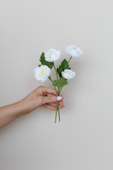 Hand holding a white ranunculus bud vase flowers infront of a white backdrop
