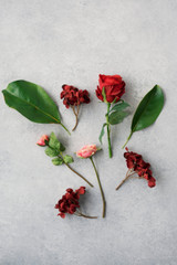 Kimpton Cake Cluster