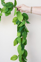 Salal Leaf Garland