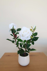 White Rose in Ceramic Vase