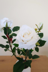White Rose in Ceramic Vase