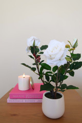 White Rose in Ceramic Vase