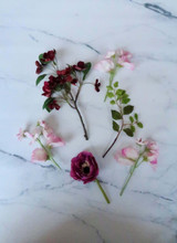 Marlowe Cake Cluster