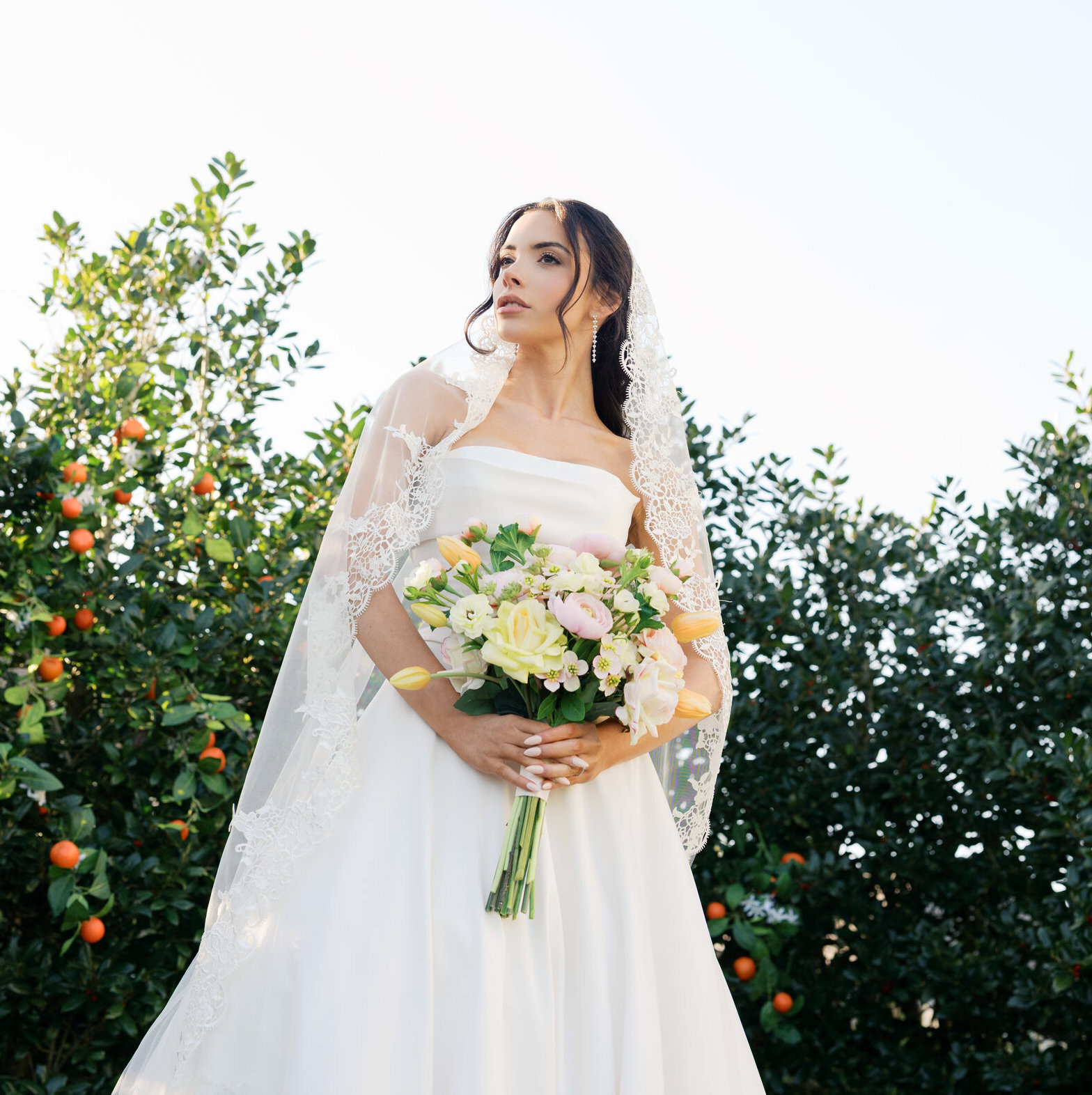 What Do Roses Symbolize? Understanding Floral Symbolism - Something ...