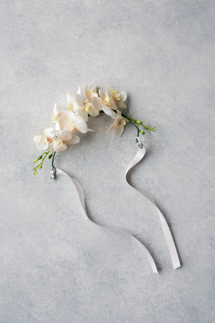 Wren Small Dog Collar