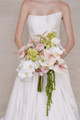 Bride holding a cascading bouquet with blush anthuriums, orchids, hydrangeas, and trailing amaranthus.
