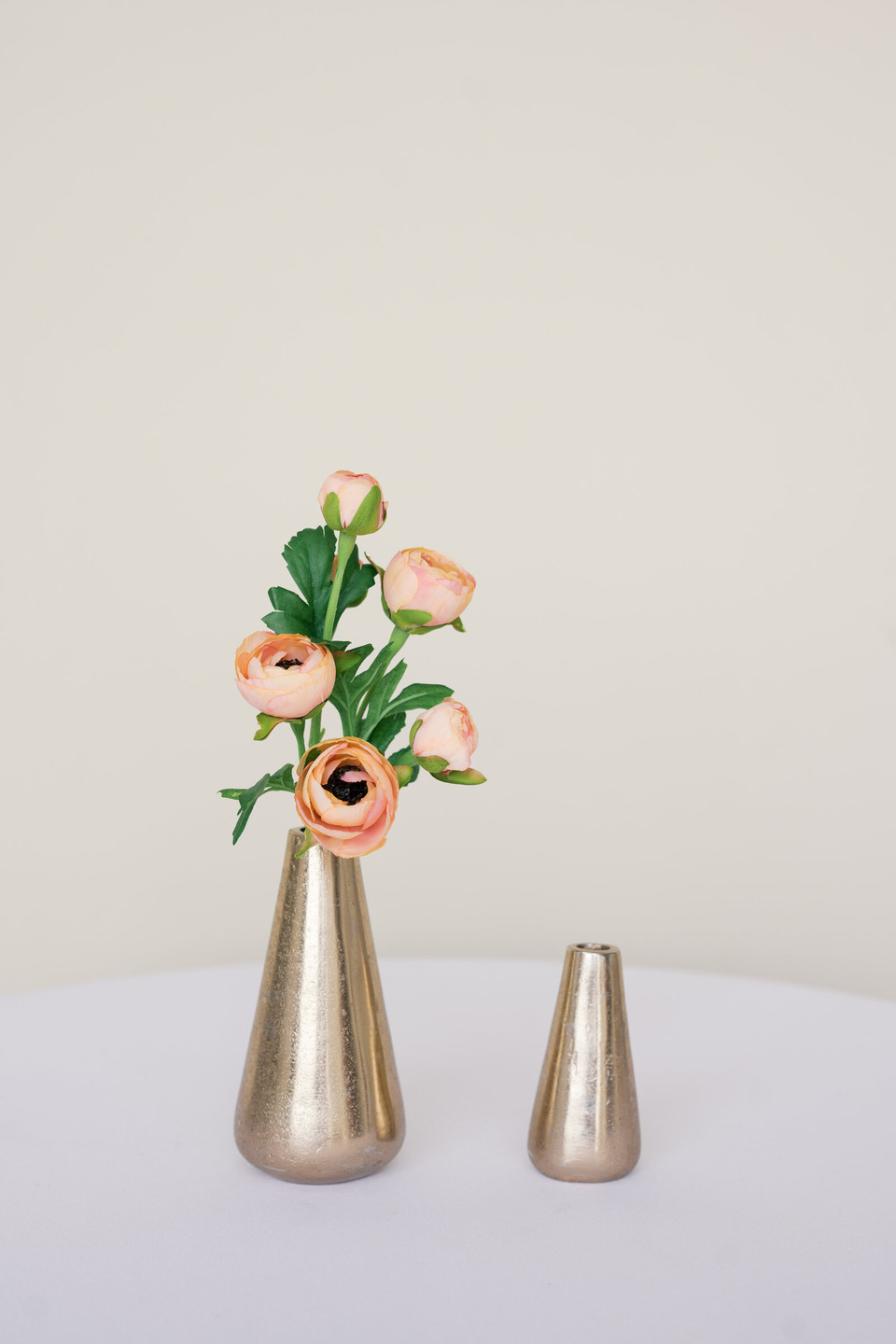 Dark Peach Ranunculus Bud Vase Flowers
